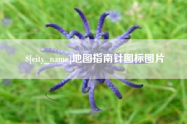 惠州地图指南针图标图片