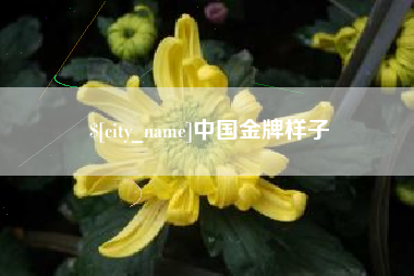惠州中国金牌样子