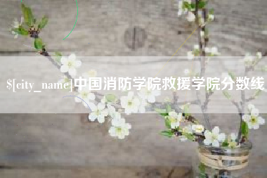 惠州中国消防学院救援学院分数线