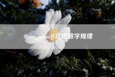 惠州9宫格数字规律