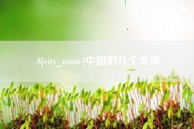 惠州中国的几个金牌