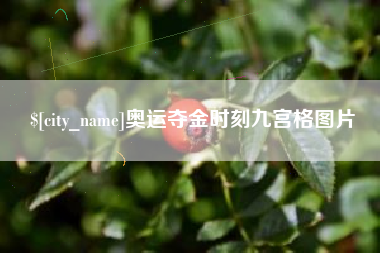 惠州奥运夺金时刻九宫格图片