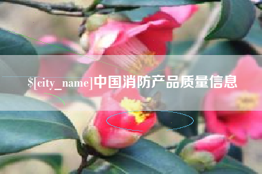 惠州中国消防产品质量信息
