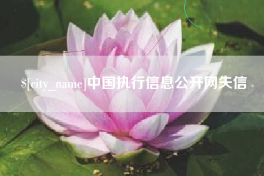 惠州中国执行信息公开网失信