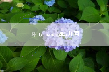 惠州2022九宫