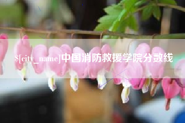 惠州中国消防救援学院分数线