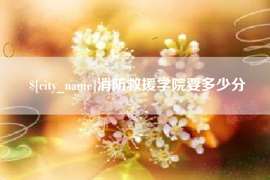 惠州消防救援学院要多少分
