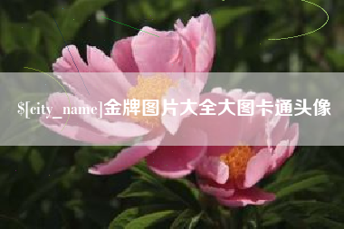 惠州金牌图片大全大图卡通头像