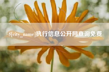 惠州执行信息公开网查询免费