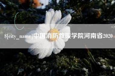 惠州中国消防救援学院河南省2020